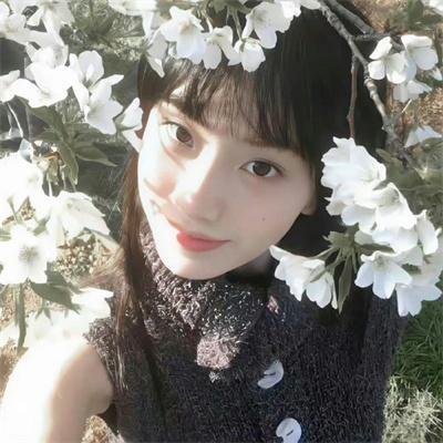 龙虎双侠