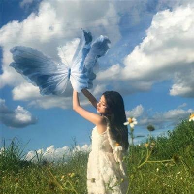 蝴蝶春梦